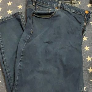 Lane Bryant Skinny Jeans 28
